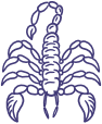 Zodiac - Scorpio