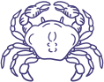 Zodiac - Cancer